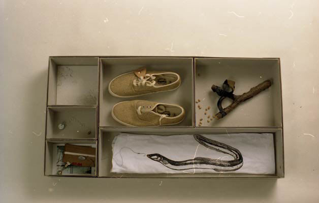 LIFELINE BOX